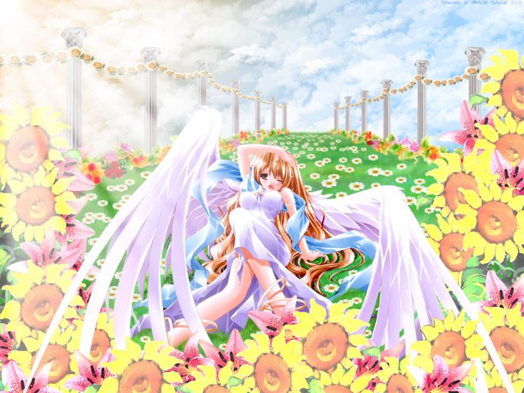 Wallpapers Manga Miscellaneous - Angels Wallpaper N344547