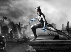  Jeux Vido Catwomen