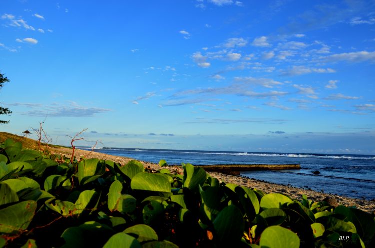 Fonds d'cran Nature Mers - Ocans - Plages Plage de St-Pierre