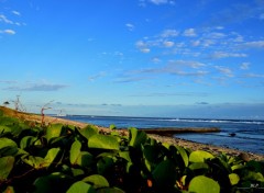  Nature Plage de St-Pierre