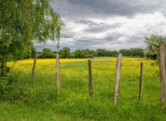  Nature le pré