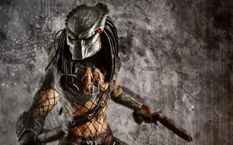 Wallpapers Movies Predator Wallpaper N344239