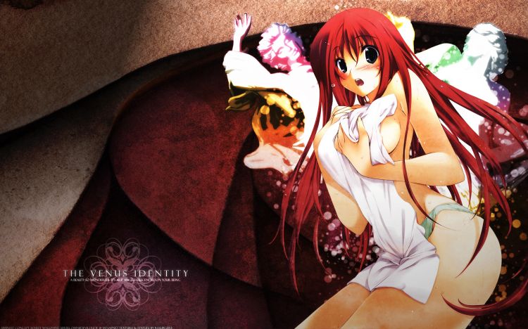 Fonds d'cran Manga Sexy Wallpaper N346487