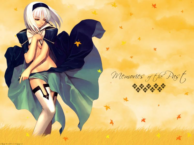 Wallpapers Manga Sexy Wallpaper N346557