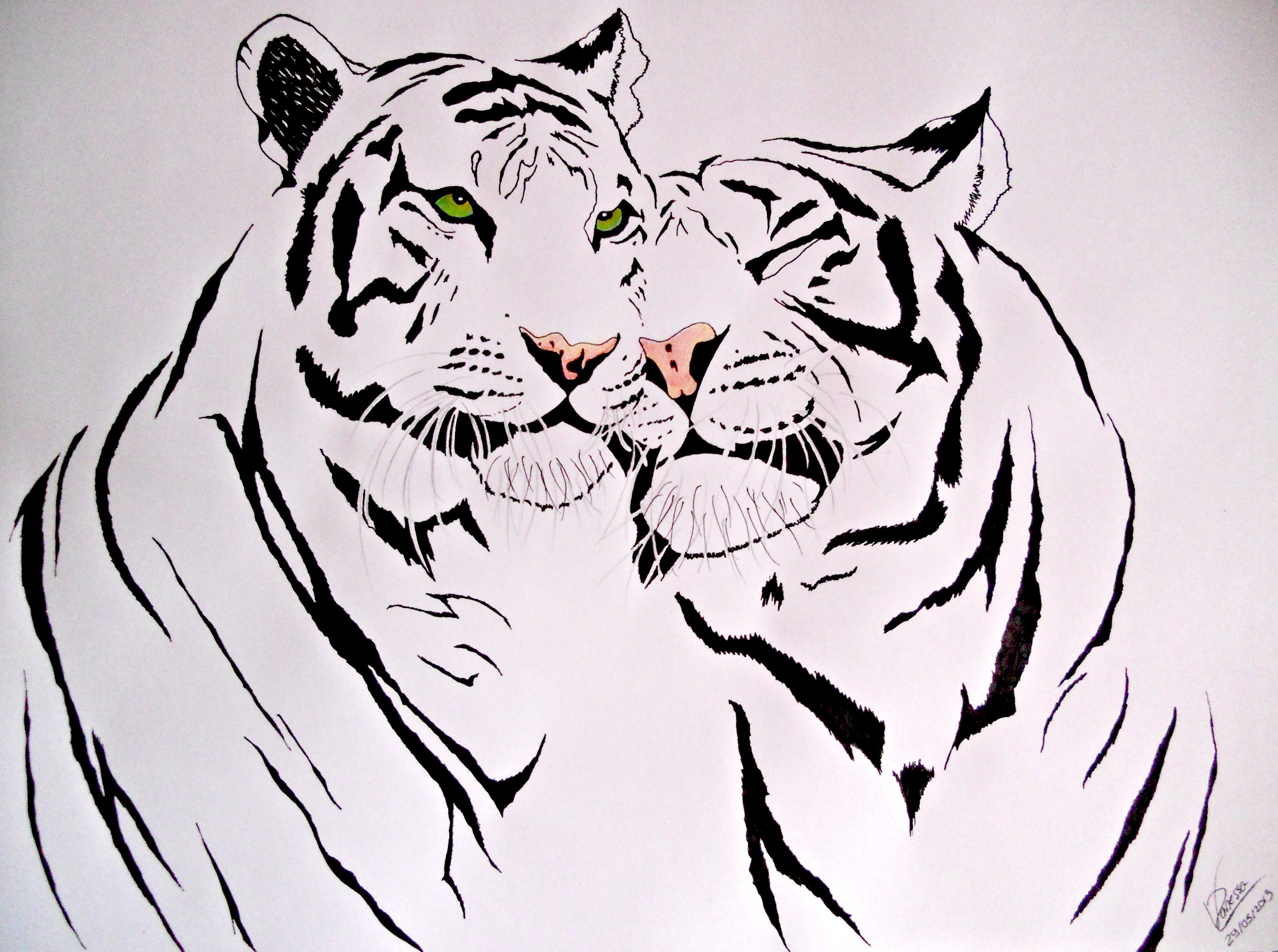 Fonds d'cran Art - Crayon Animaux - Flins tribal tigers