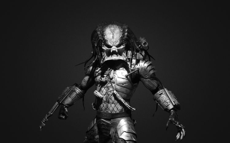 Wallpapers Movies Predator Wallpaper N344304