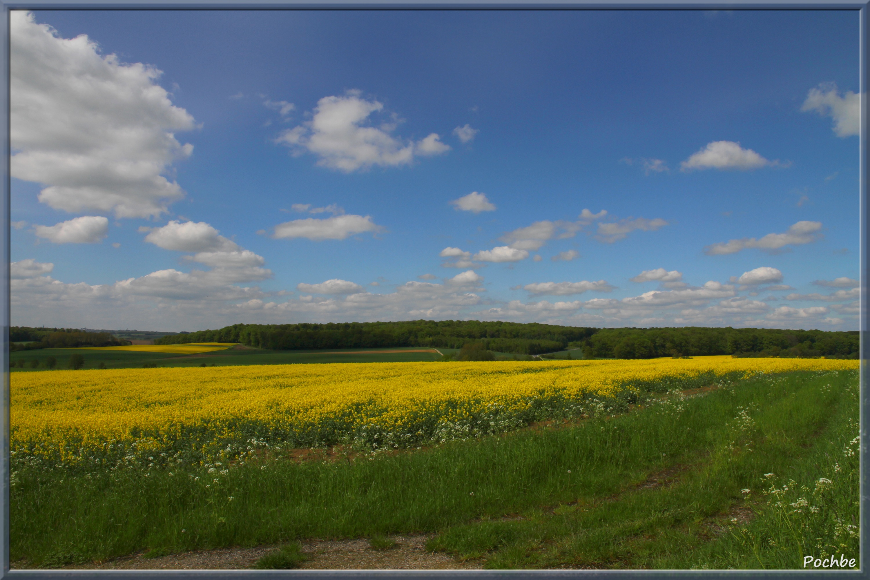 Fonds d'cran Nature Champs - Prairies 