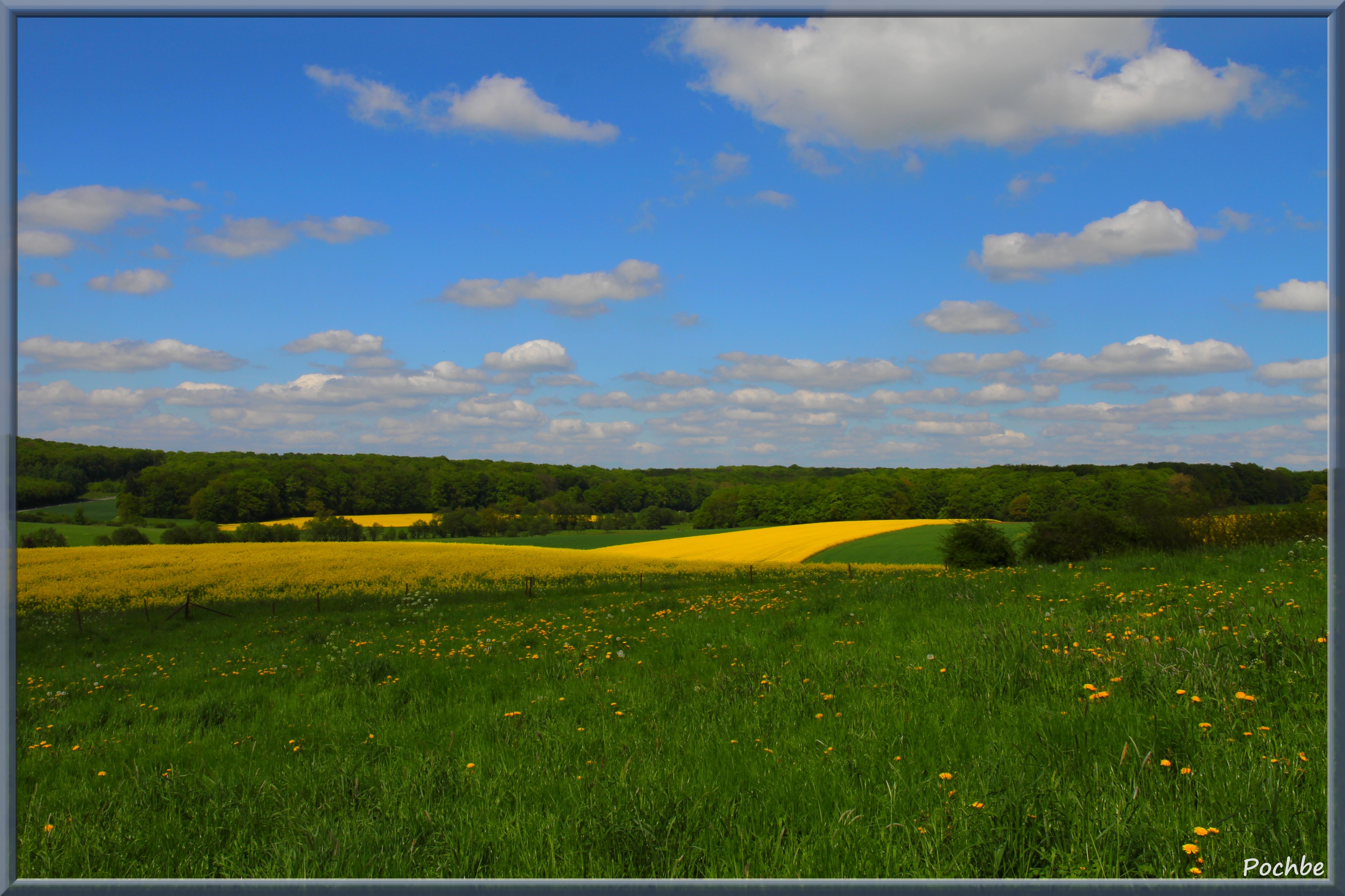 Fonds d'cran Nature Champs - Prairies 