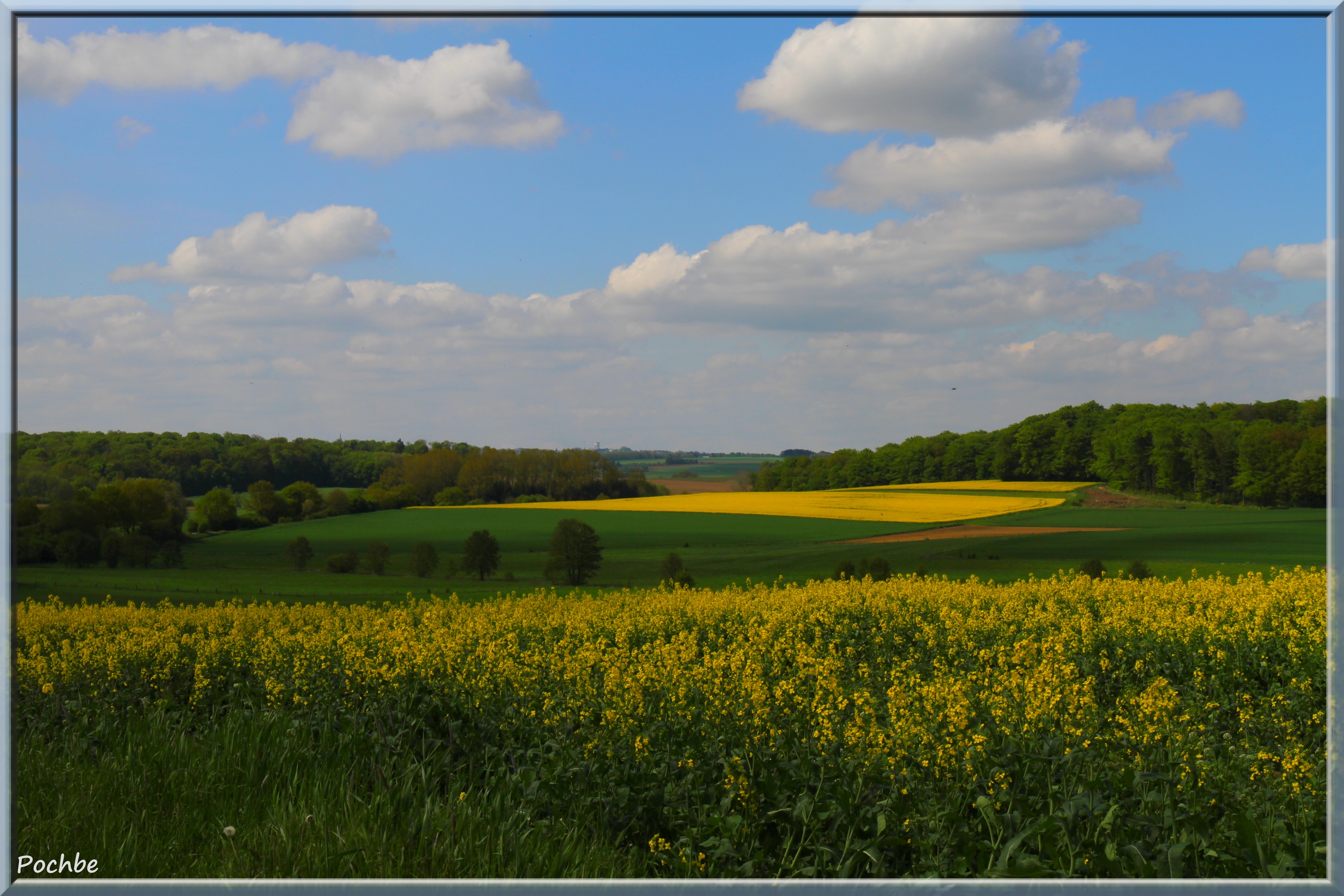 Fonds d'cran Nature Champs - Prairies 