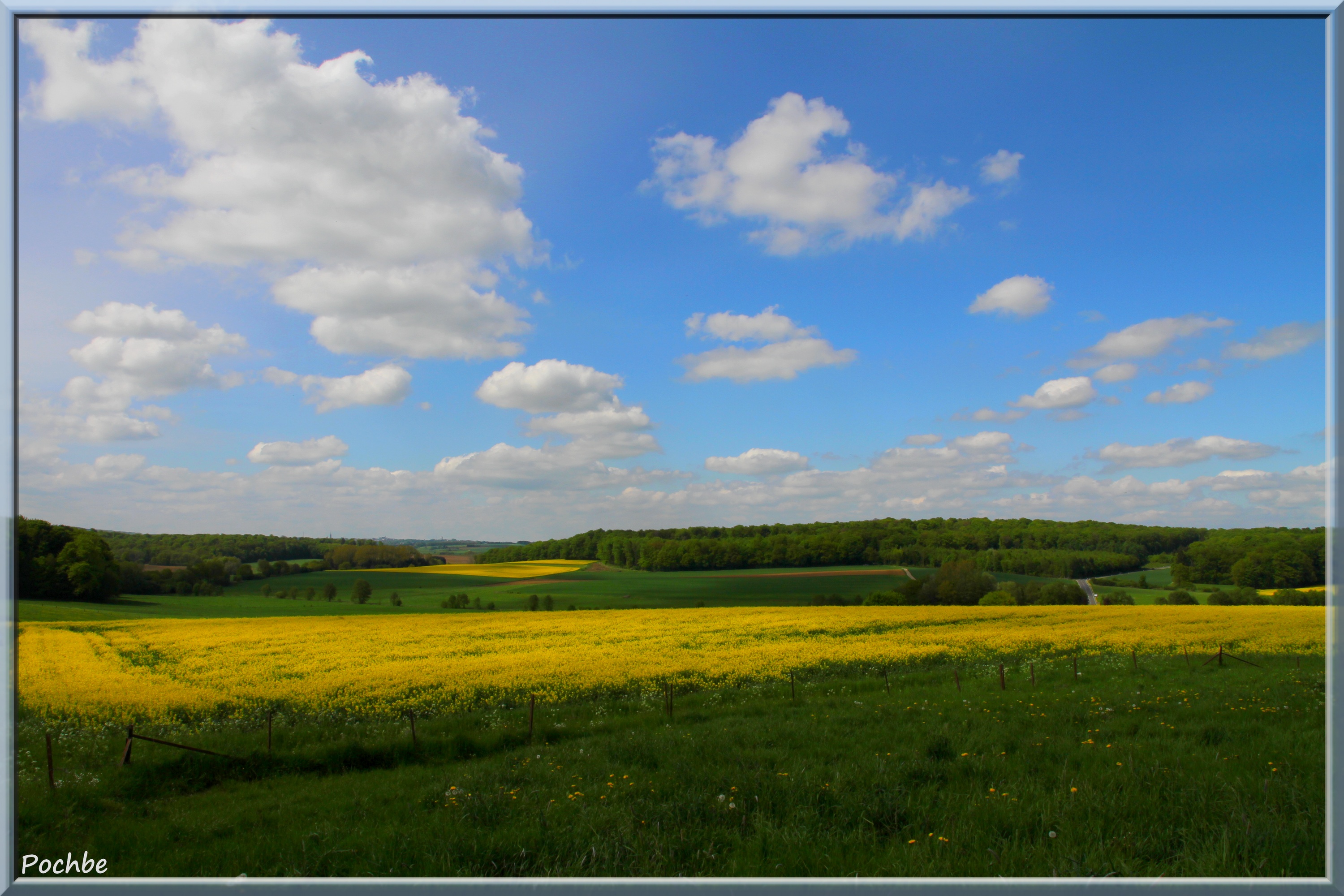 Fonds d'cran Nature Champs - Prairies 