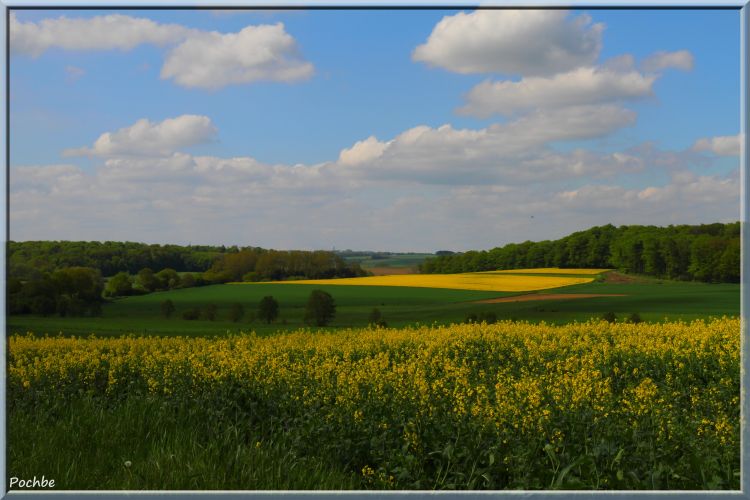 Fonds d'cran Nature Champs - Prairies Wallpaper N344604