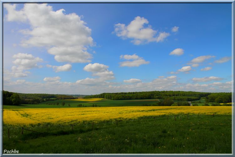 Fonds d'cran Nature Champs - Prairies Wallpaper N344605