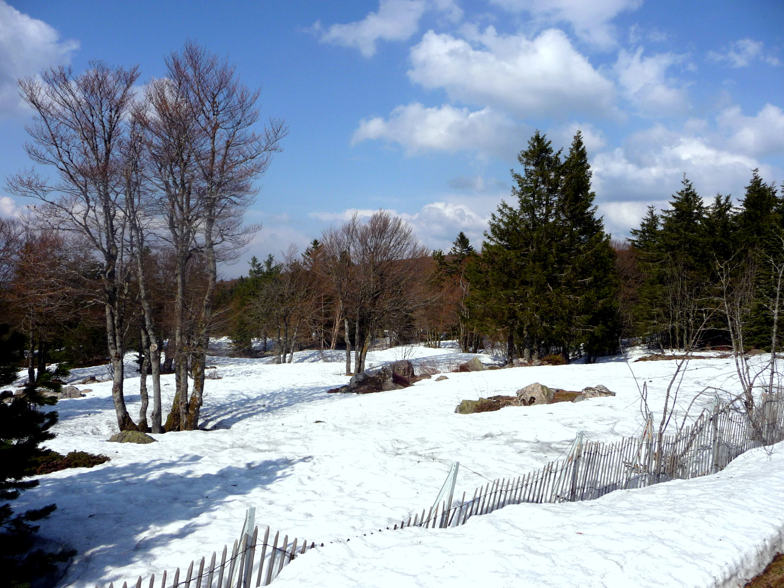 Fonds d'cran Nature Paysages ALSACE COL DE LA SCHLUCHT