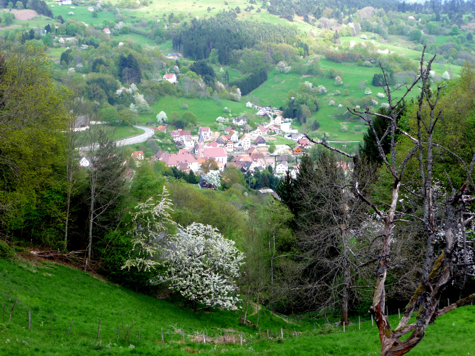 Fonds d'cran Nature Paysages ALSACE VALLEE DE MUNSTER 2009