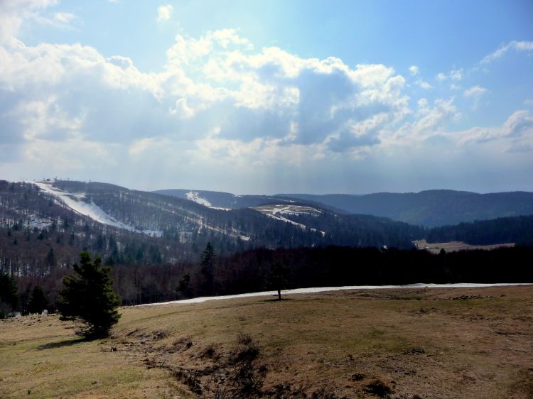 Fonds d'cran Nature Paysages ALSACE COL DE LA SCHLUCHT