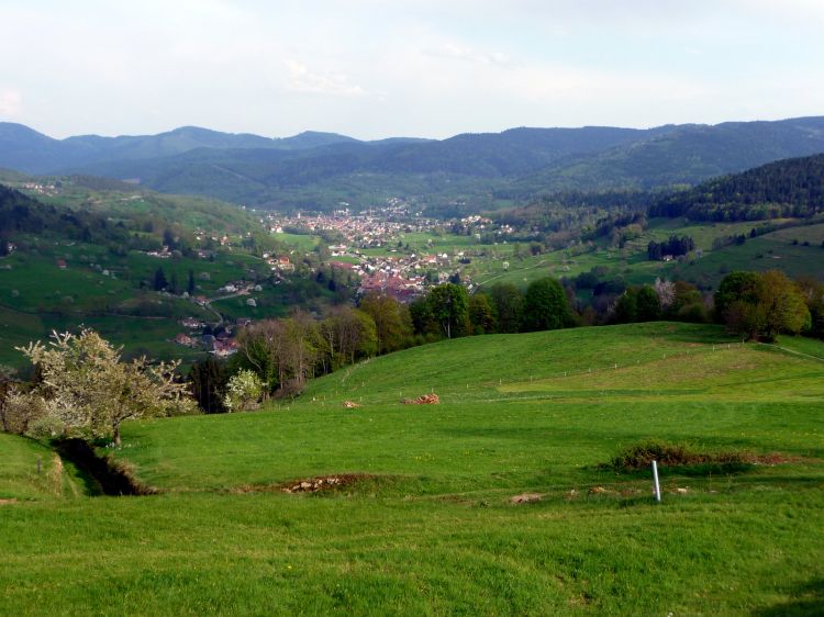 Wallpapers Nature Landscapes ALSACE VALLEE DE MUNSTER 2009