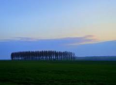  Nature UN TOUR AU PUY EN VELAY, AUVERGNE