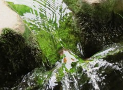  Constructions et architecture lavoir séourin (dept47)