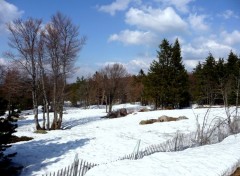  Nature ALSACE COL DE LA SCHLUCHT