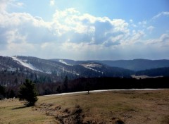  Nature ALSACE COL DE LA SCHLUCHT