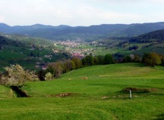  Nature ALSACE VALLEE DE MUNSTER 2009