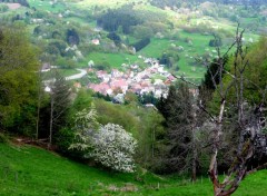  Nature ALSACE VALLEE DE MUNSTER 2009