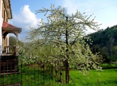  Nature ALSACE VALLEE DE MUNSTER 2009