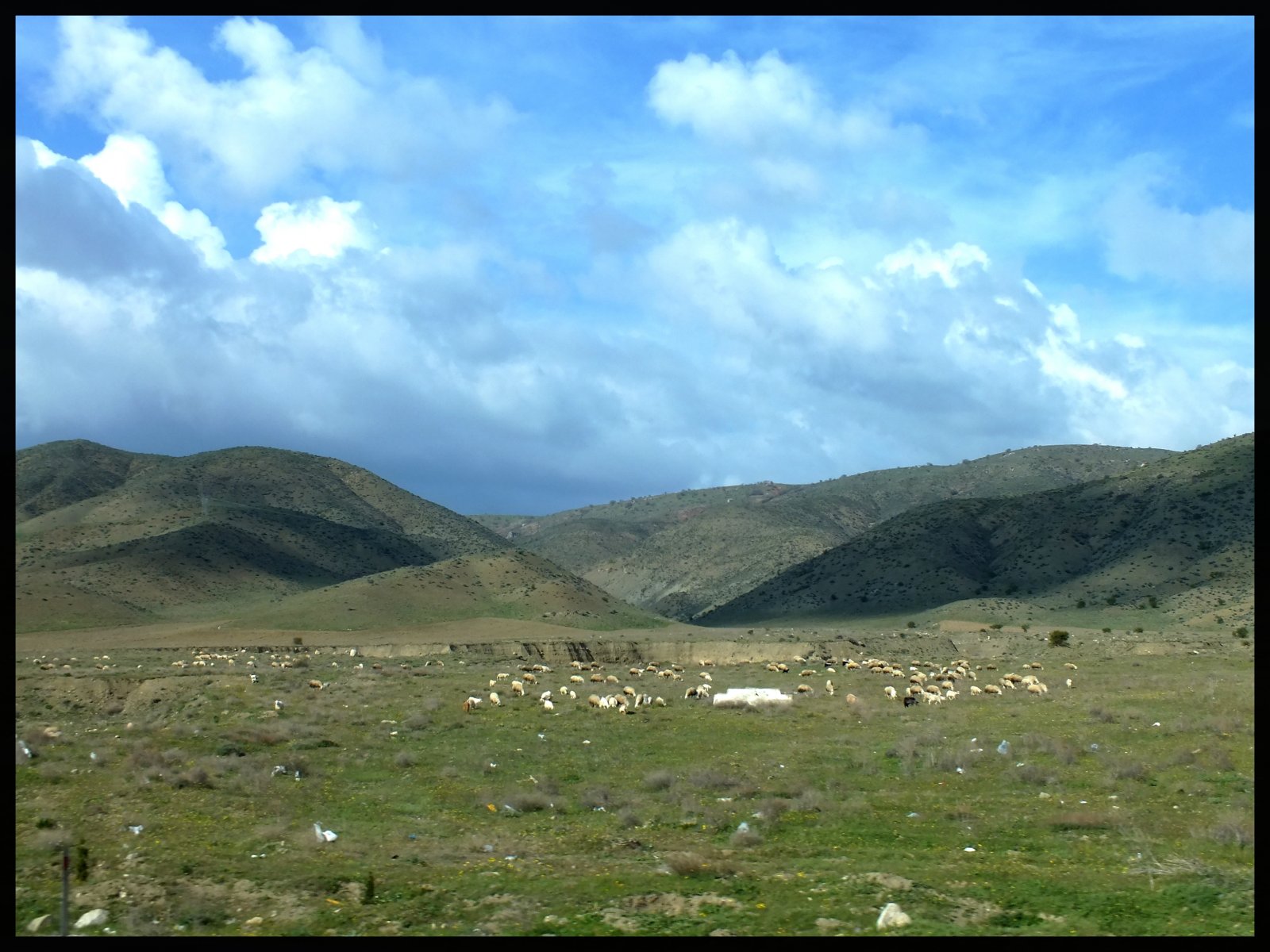 Wallpapers Nature Fields 