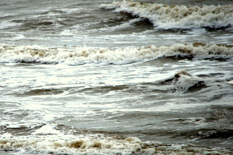 Wallpapers Nature Seas - Oceans - Beaches BRAY-DUNES JUIN 2013