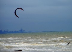  Nature BRAY-DUNES JUIN 2013