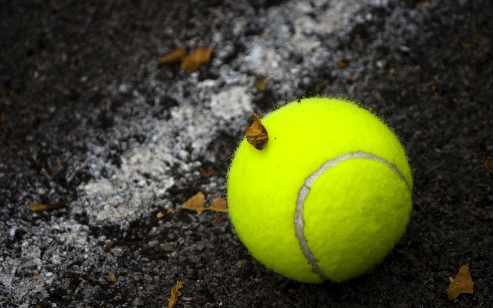 Wallpapers Sports - Leisures Tennis 