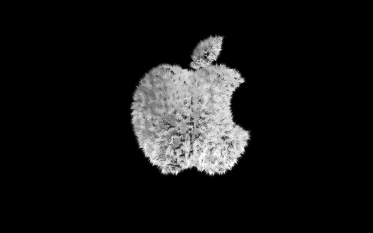 Fonds d'cran Informatique Apple Wallpaper N345122