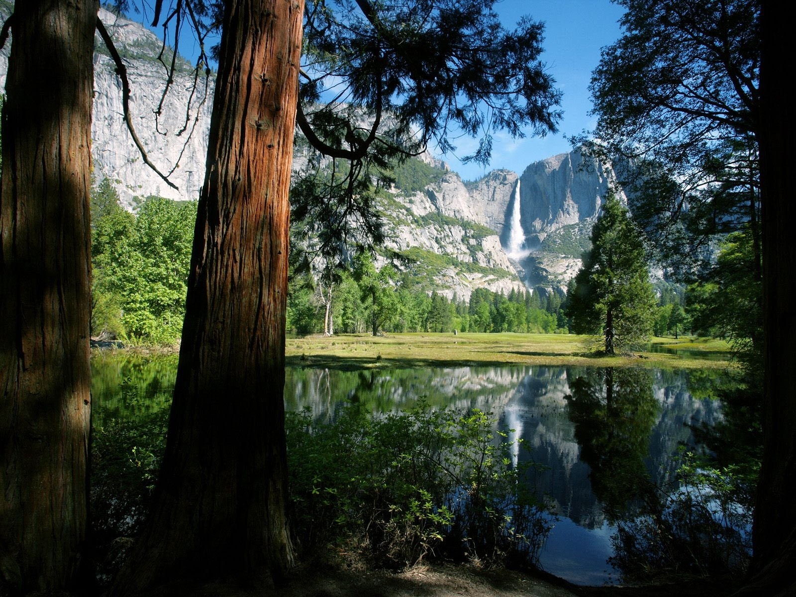 Fonds d'cran Nature Arbres - Forts 