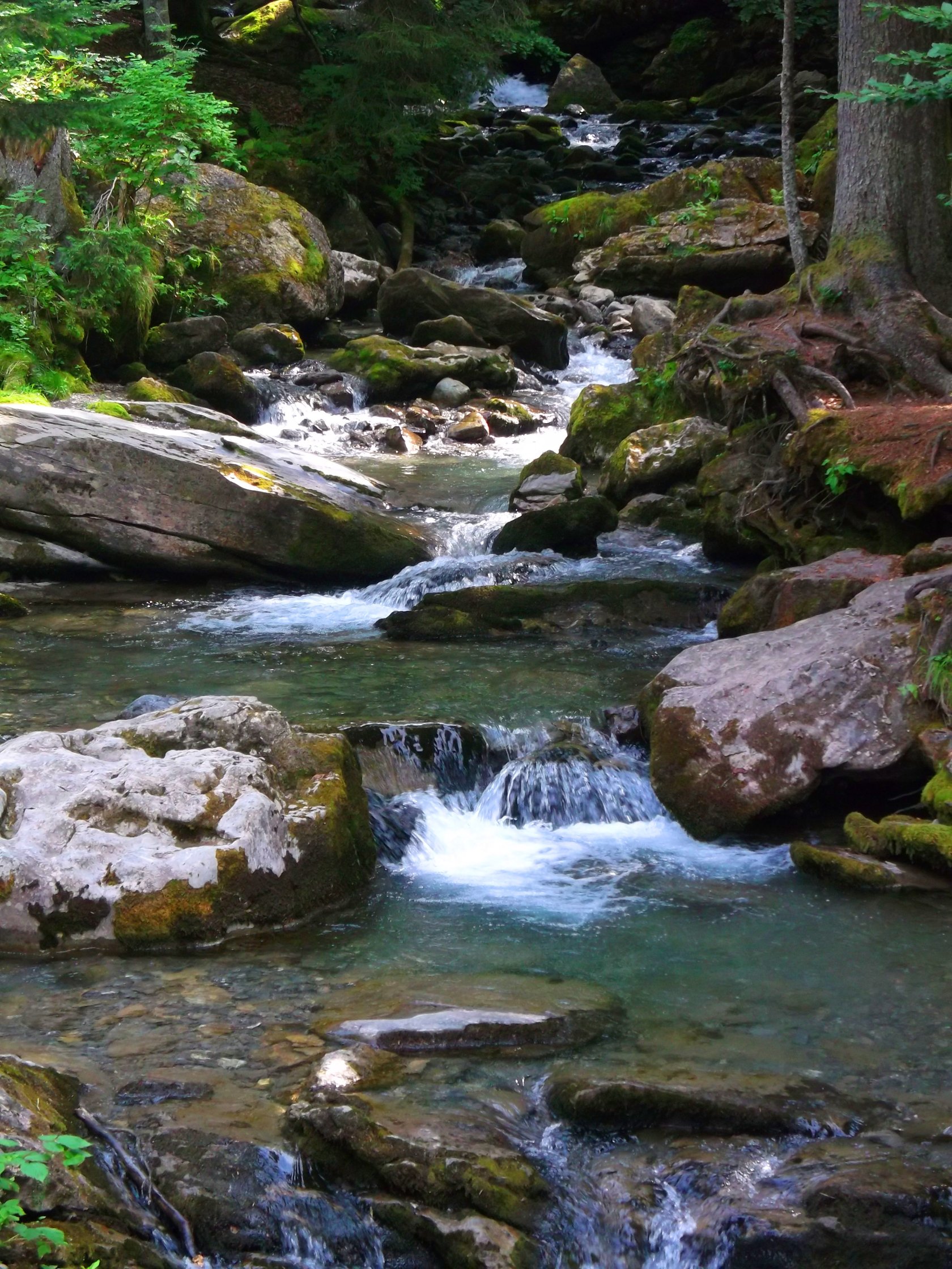 Fonds d'cran Nature Fleuves - Rivires - Torrents Cascade d'ardent (1700 m d'altitude )