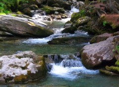  Nature Cascade d'ardent (1700 m d'altitude )