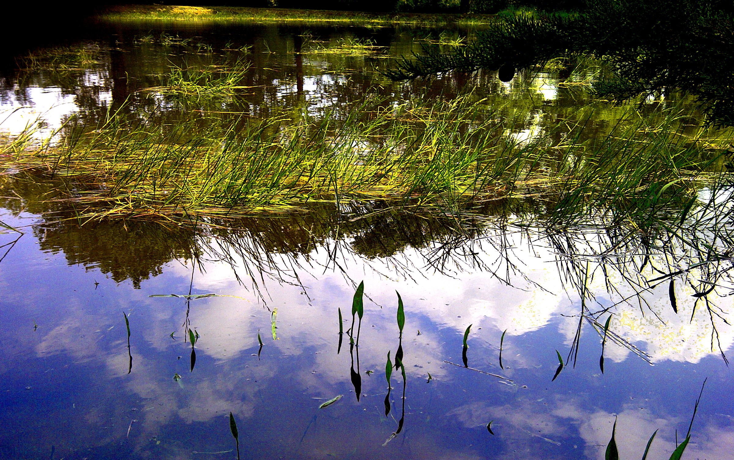 Fonds d'cran Nature Lacs - Etangs 