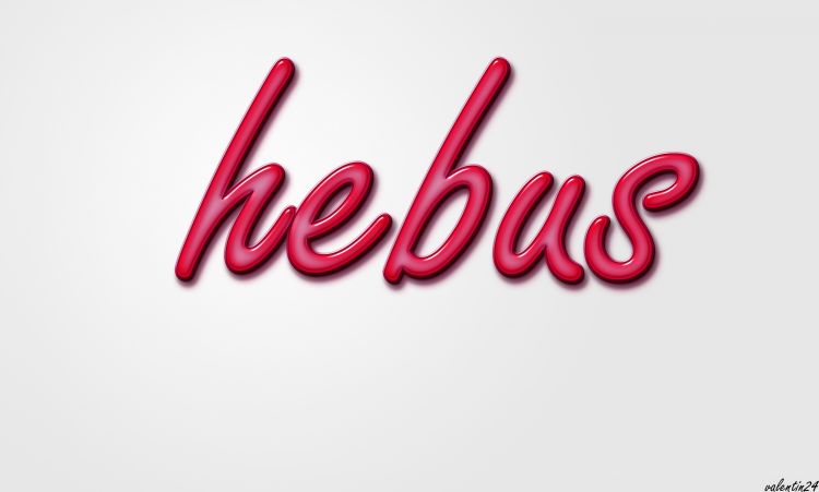 Fonds d'cran Grandes marques et publicit Sites web - Hebus hebus !