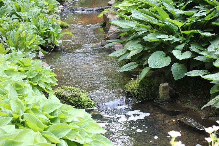 Wallpapers Nature Parks - Gardens Jardins du Lac de Bambois (Fosses-la-Ville)  BE