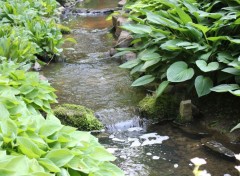  Nature Jardins du Lac de Bambois (Fosses-la-Ville)  BE