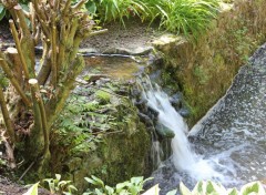  Nature Jardins du Lac de Bambois (Fosses-la-Ville)  BE