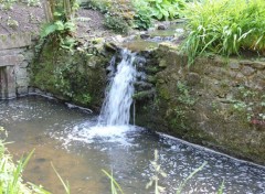  Nature Jardins du Lac de Bambois (Fosses-la-Ville)  BE