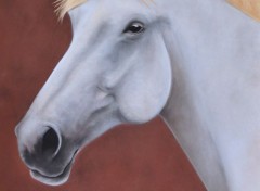  Art - Crayon Cheval au Pastel sec 