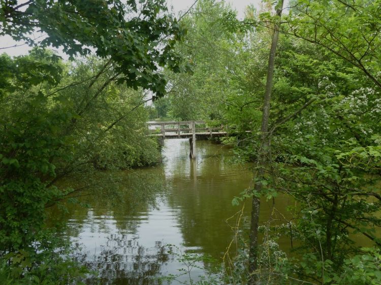 Wallpapers Constructions and architecture Bridges - Aqueduct petit pont de bois 