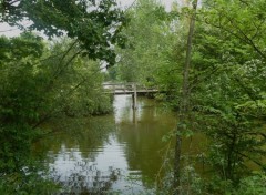  Constructions and architecture petit pont de bois 