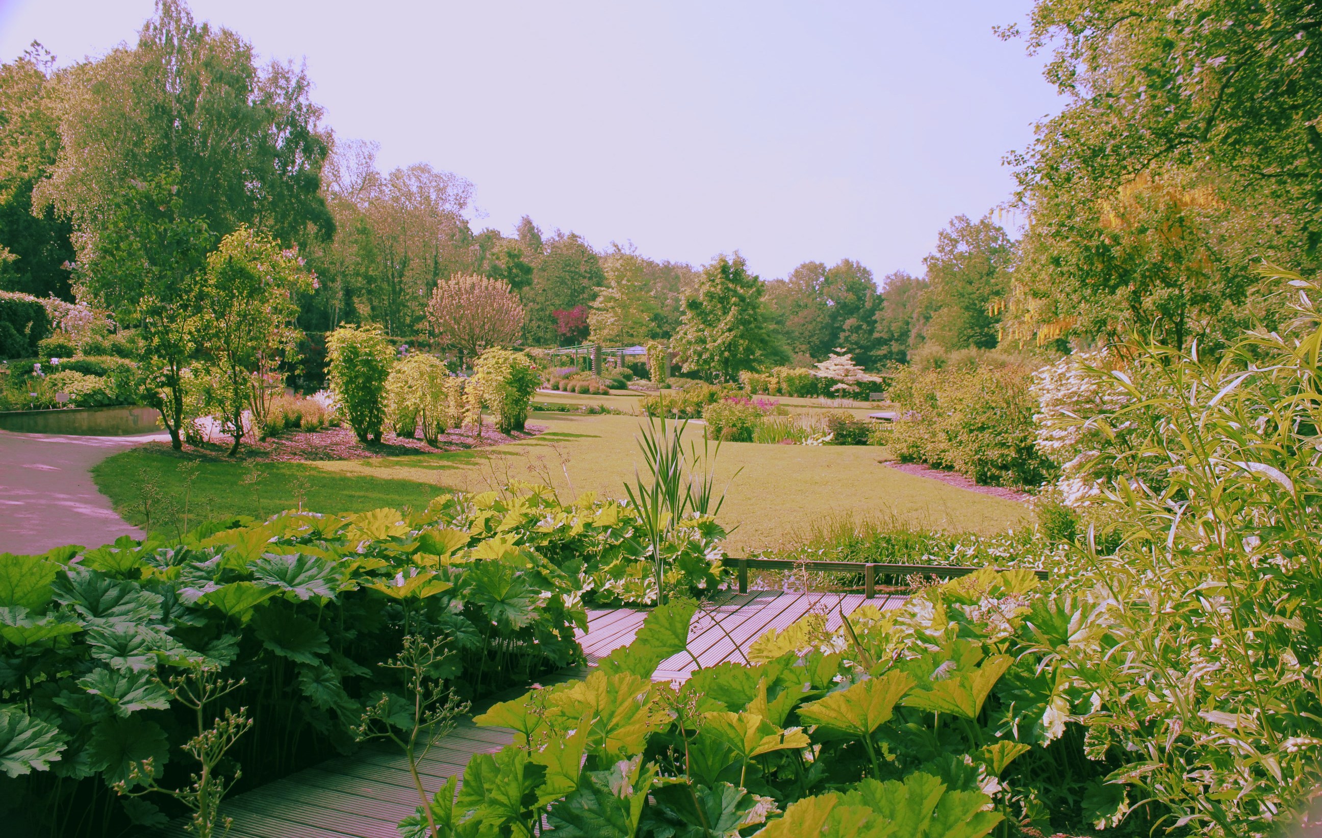 Fonds d'cran Nature Parcs - Jardins Jardins du Lac de Bambois (Fosses-la-Ville)  BE