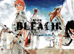  Manga bleach