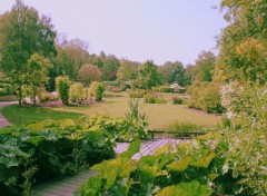  Nature Jardins du Lac de Bambois (Fosses-la-Ville)  BE