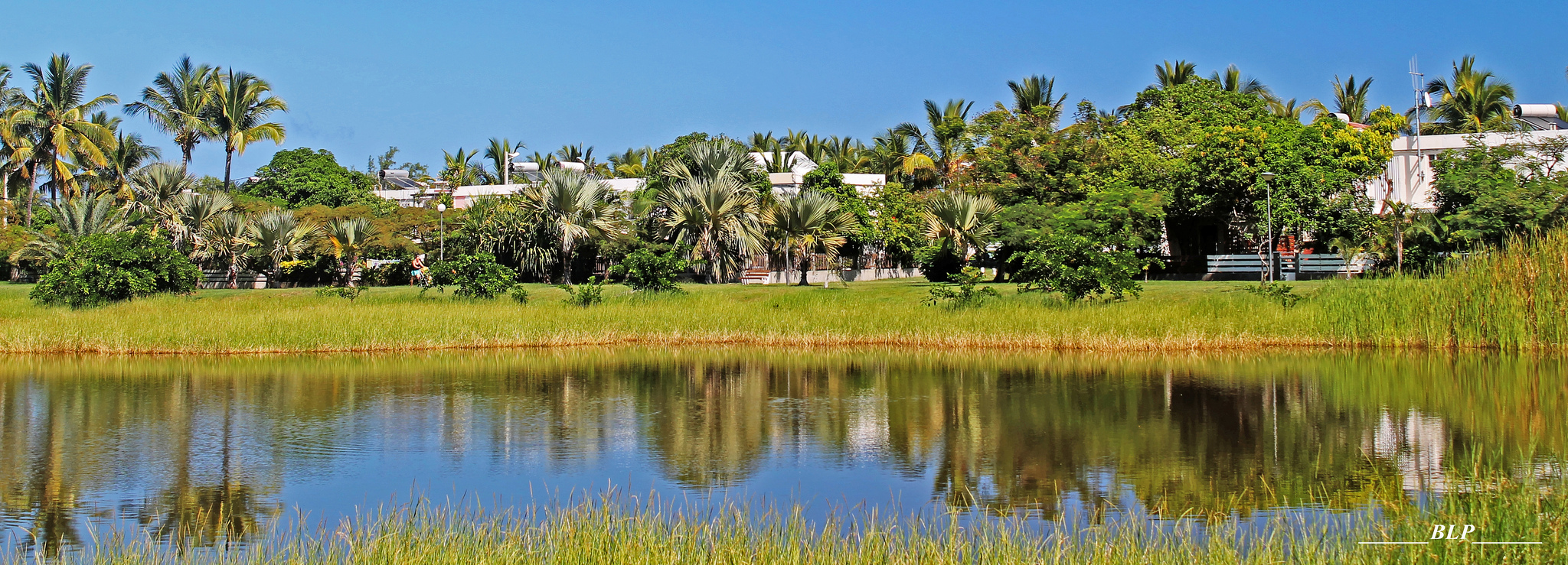 Wallpapers Nature Lakes - Ponds Etang-Salé