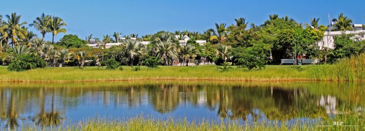 Fonds d'cran Nature Lacs - Etangs Etang-Salé