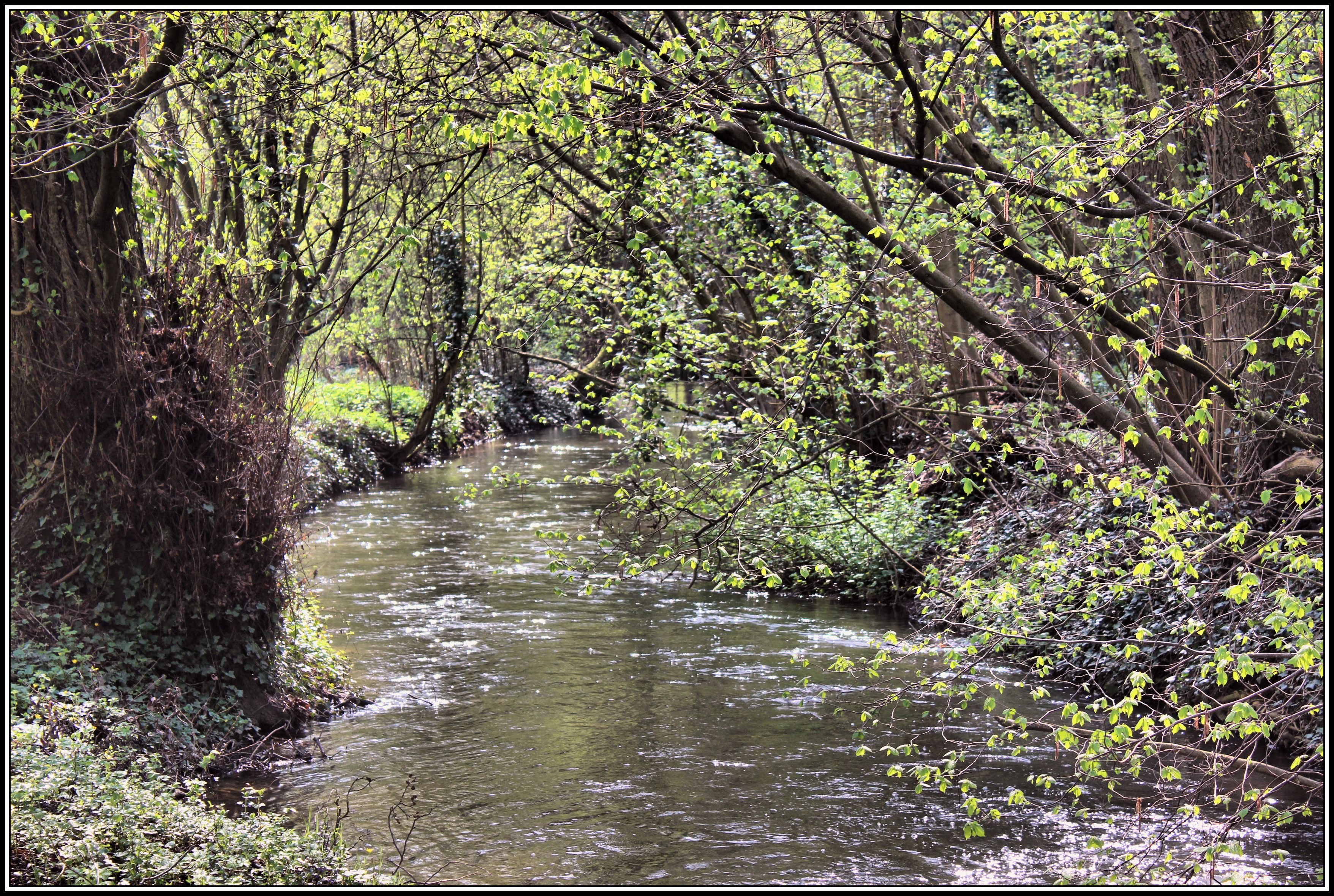 Wallpapers Nature Rivers - Torrents 